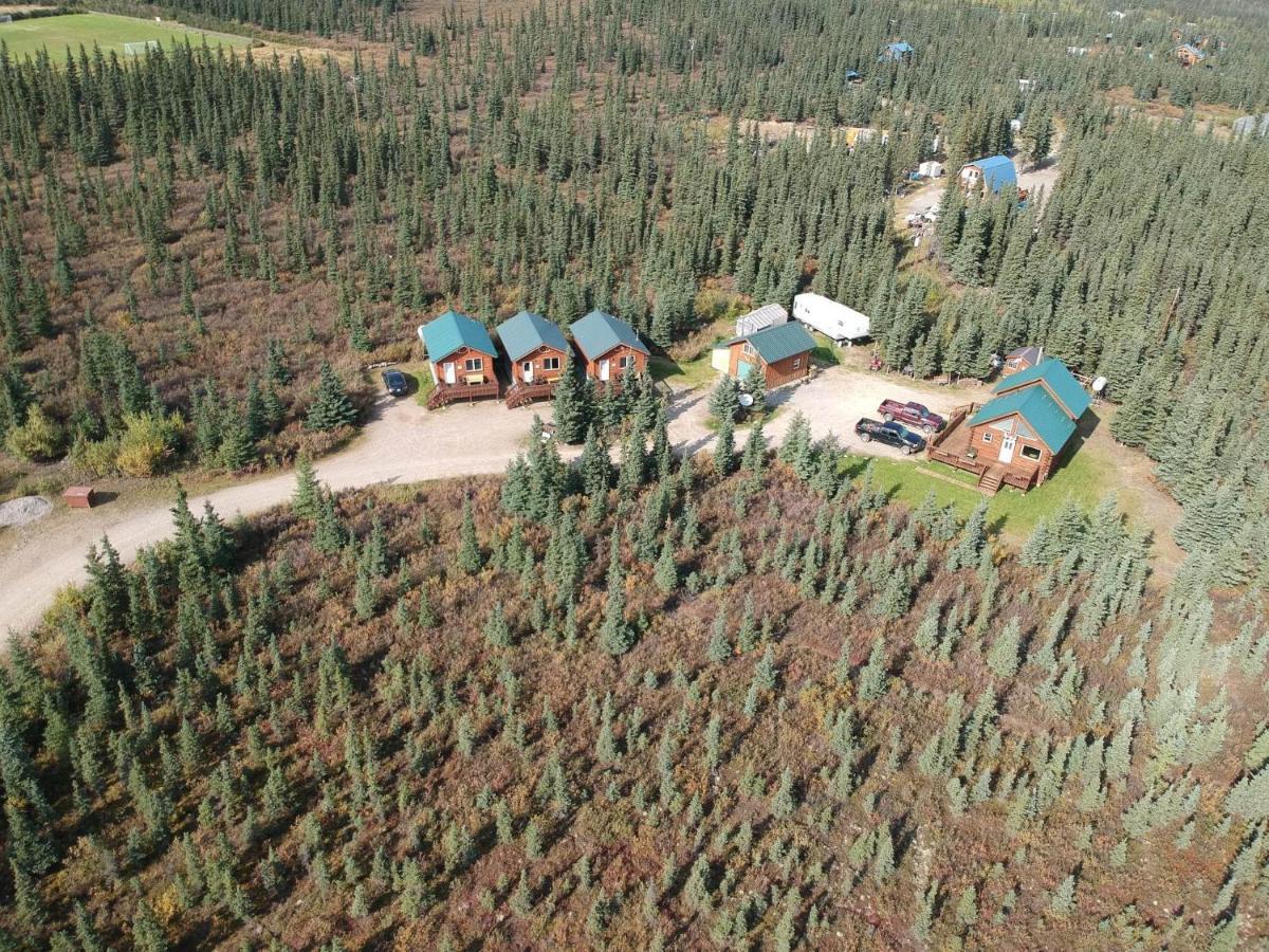 Denali'S Alaskan Spruce Cabins Хілі Екстер'єр фото
