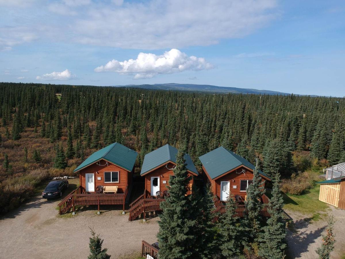Denali'S Alaskan Spruce Cabins Хілі Екстер'єр фото