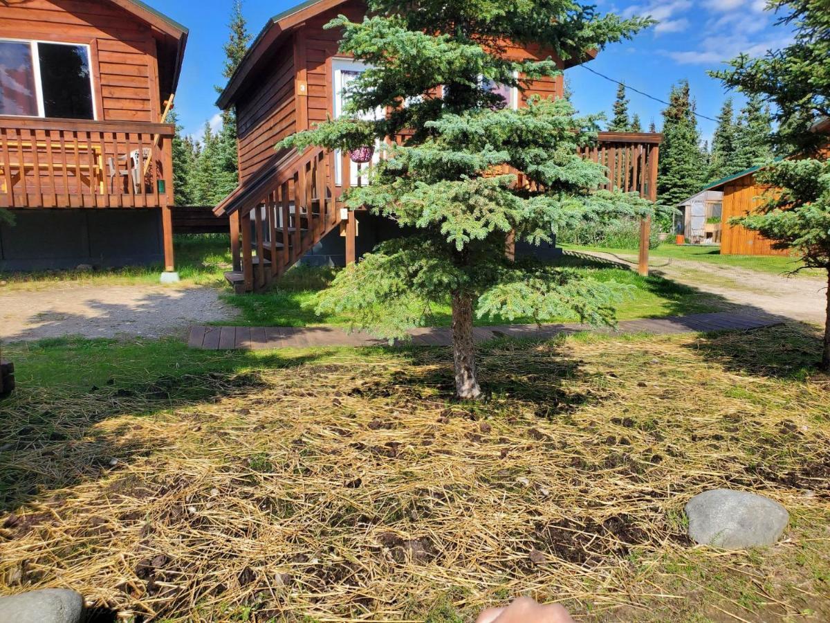 Denali'S Alaskan Spruce Cabins Хілі Екстер'єр фото