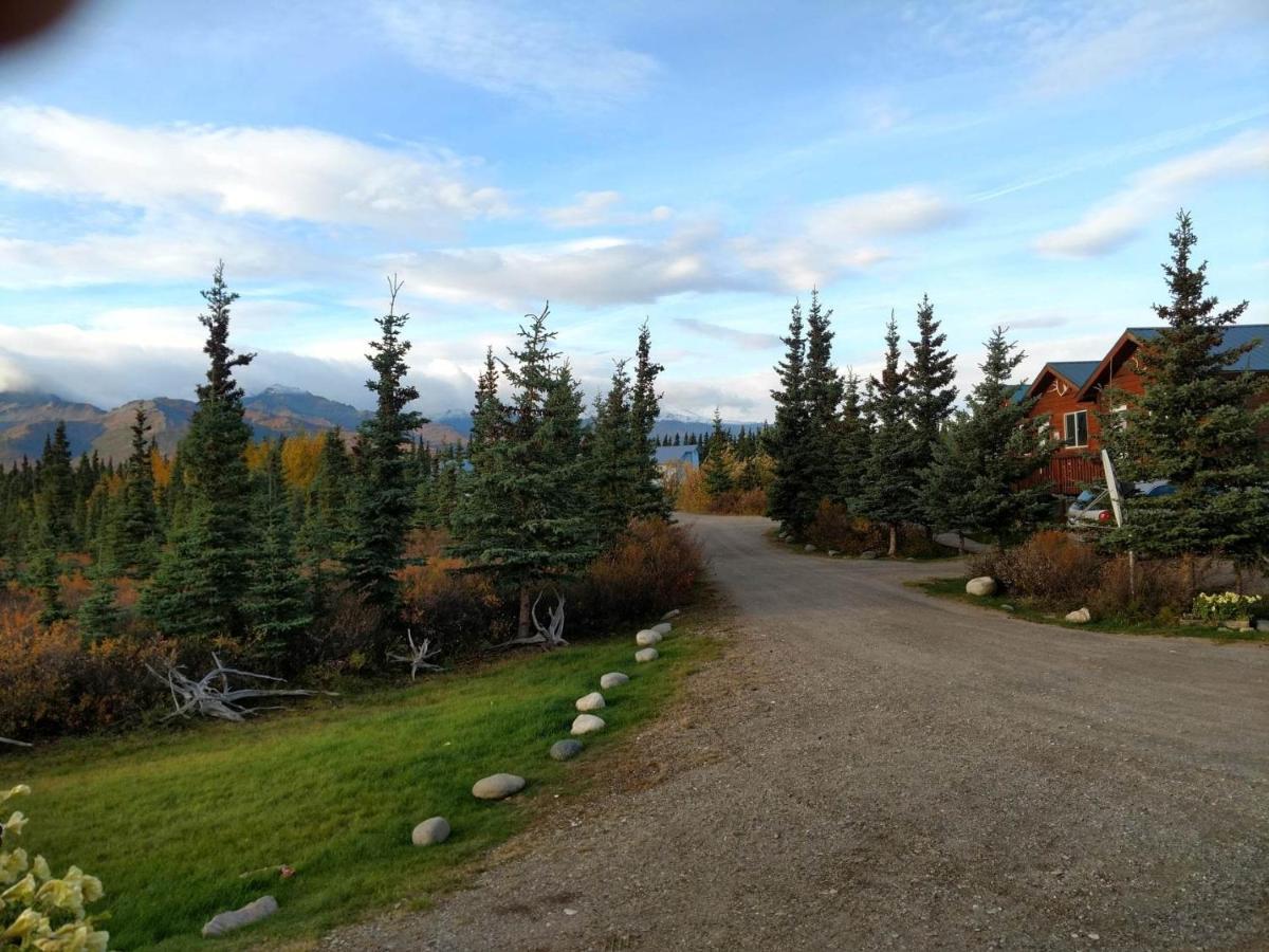 Denali'S Alaskan Spruce Cabins Хілі Екстер'єр фото