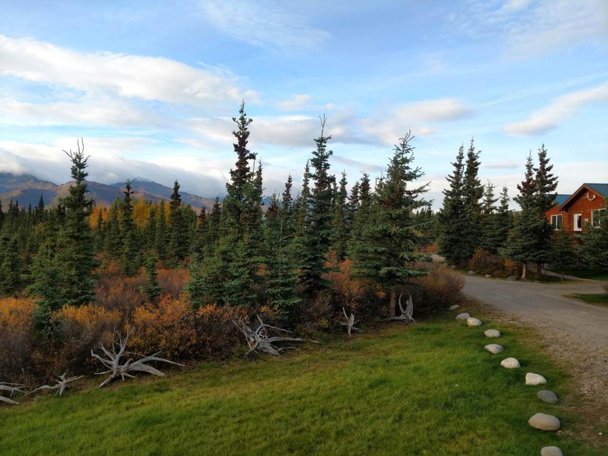 Denali'S Alaskan Spruce Cabins Хілі Екстер'єр фото