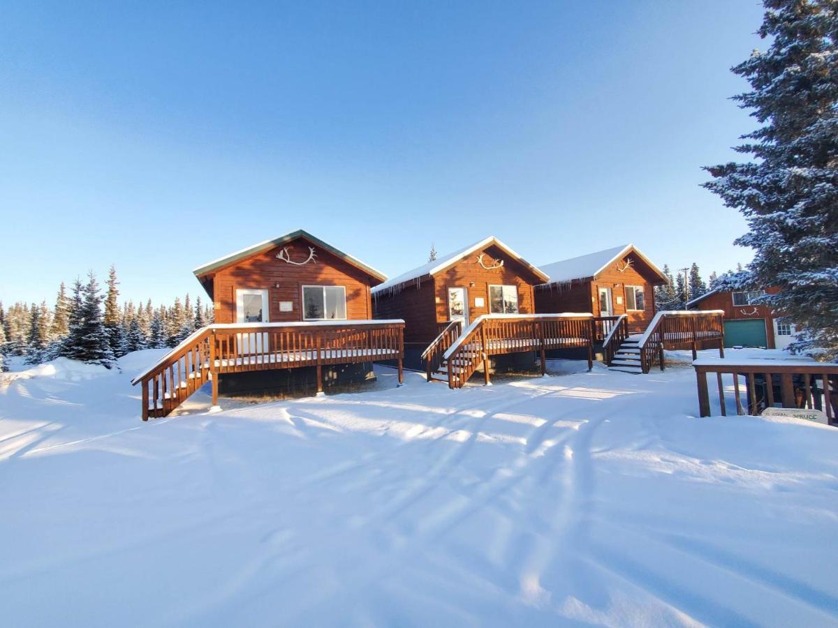 Denali'S Alaskan Spruce Cabins Хілі Екстер'єр фото