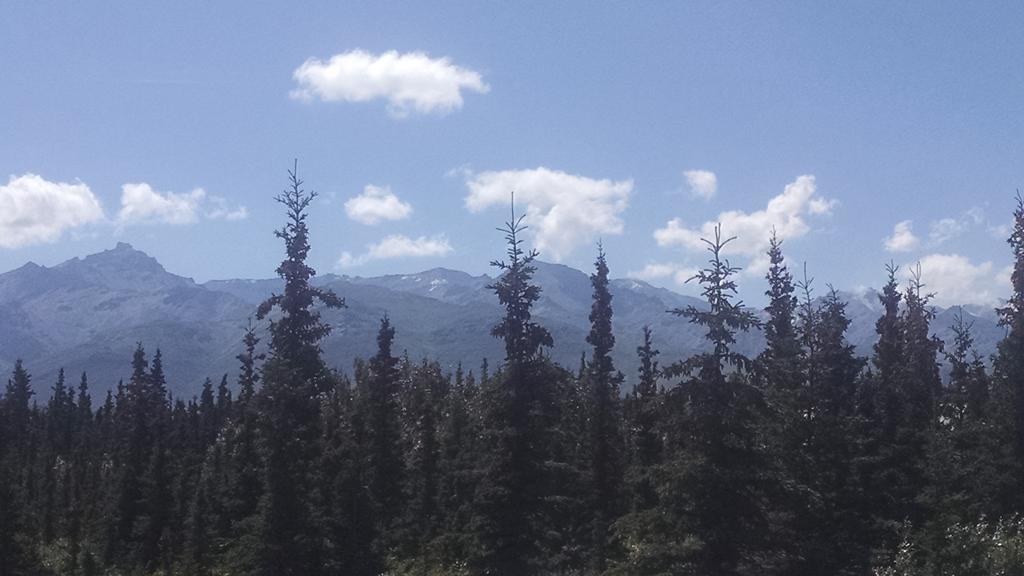 Denali'S Alaskan Spruce Cabins Хілі Екстер'єр фото
