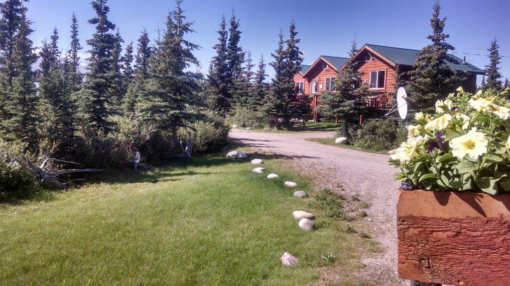 Denali'S Alaskan Spruce Cabins Хілі Екстер'єр фото