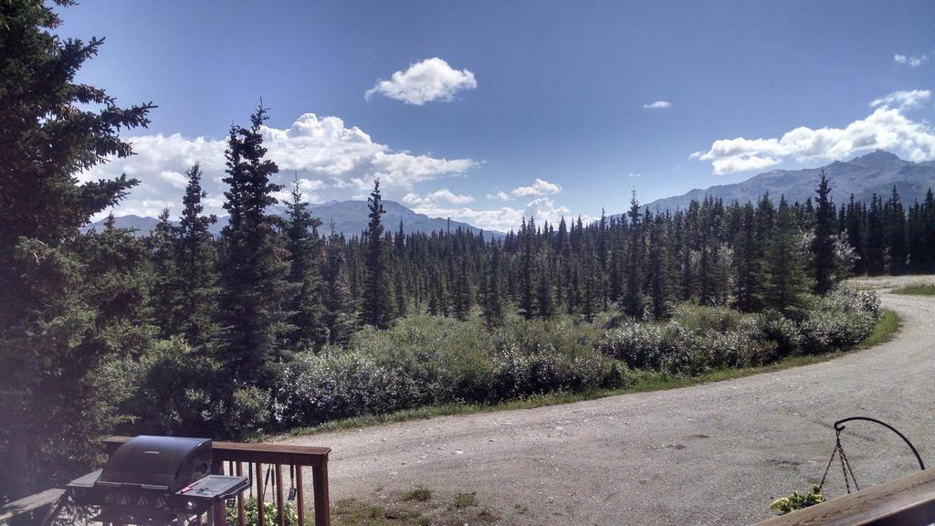 Denali'S Alaskan Spruce Cabins Хілі Екстер'єр фото