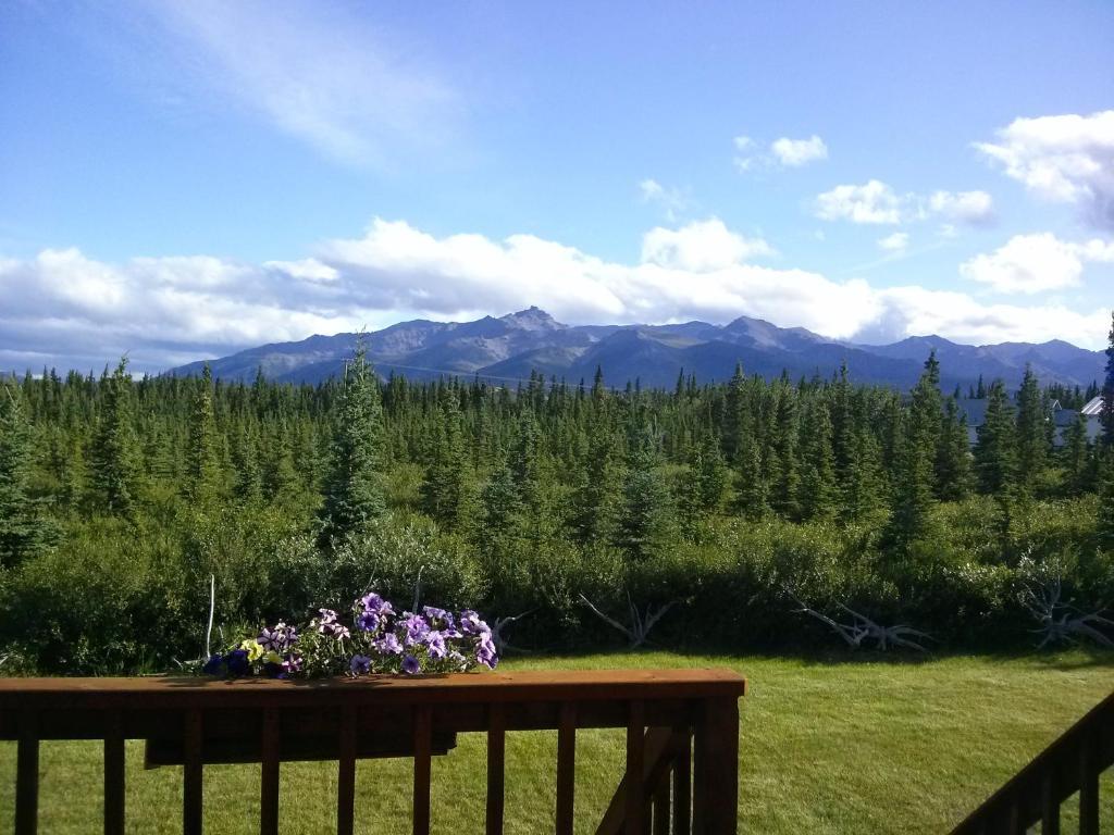 Denali'S Alaskan Spruce Cabins Хілі Екстер'єр фото